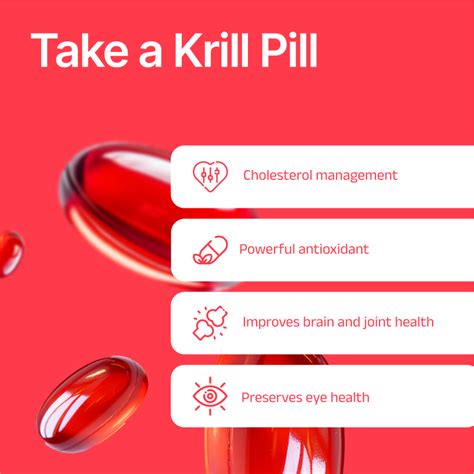 Personalized Wellness Plan for Physical and Mental Health - Vieroots
