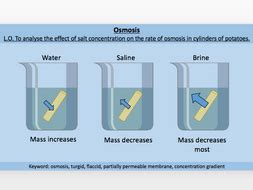 Osmosis / Concentration Gradient / Diffusion | Teaching Resources