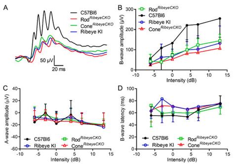 Correction: Mesnard et al. Eliminating Synaptic Ribbons from Rods and ...