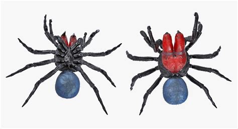 3D model Mouse Spider Fighting Pose with Fur | 3D Molier International