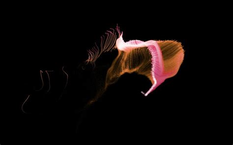 Image result for After Effects Explained