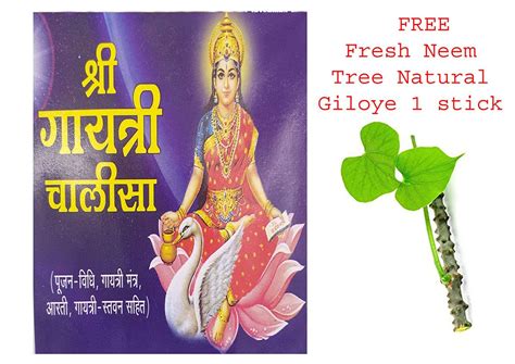 Amazon.in: Buy Shri Gayatri Chalisa Book In Hindi Poojan Vidhi ,Mantra ...