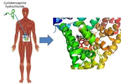 Multi-Spectroscopic Characterization of Human Serum Albumin Binding ...