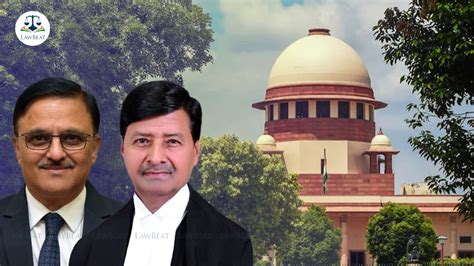 [DRAFT] Externment order infringes fundamental right to move freely ...