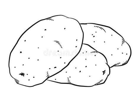 Image result for Potato Man Project Python Coding
