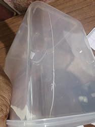 Buy Aristo Lock & Fresh 223 Plastic Storage Container For Storing ...