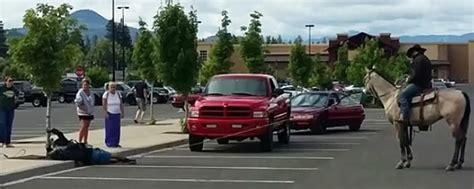 Landwirt fängt Dieb mit Lasso ein | agrarheute.com