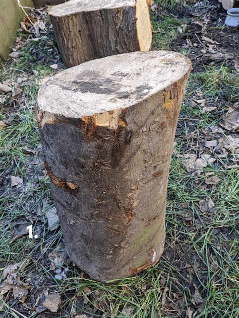 Image result for Log Labeled