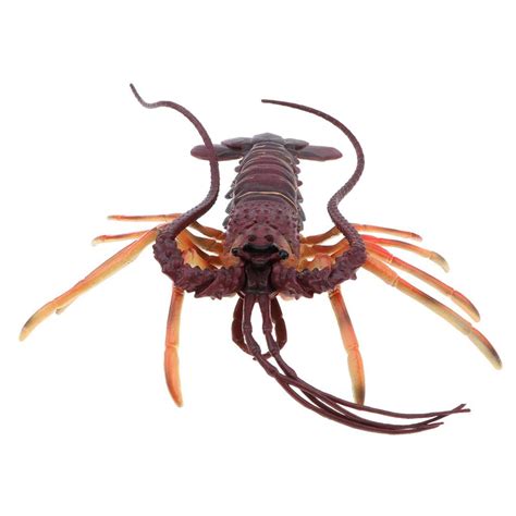 LOOM TREE® 15 Inch Spiny Lobster Model Marine Action Figure, Science ...