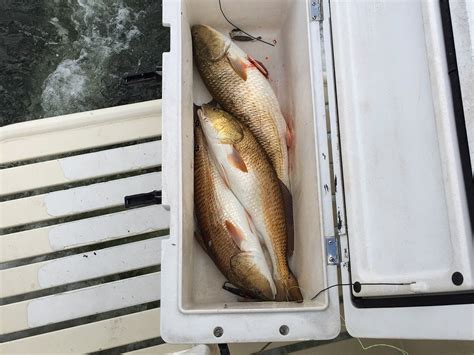 BILOXI CHARTER FISHING (2026) All You Need to Know BEFORE You Go (with ...