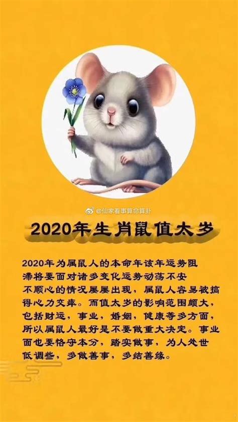 72年属鼠人2020年每月运势,2020年什么年是本命年？_2345实用查询