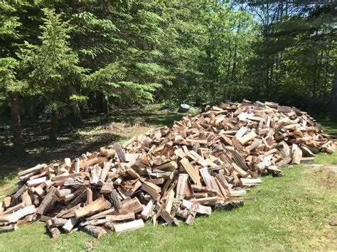 4 Cords of Wood - One Hundred Dollars a Month