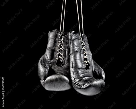 Boxing Stock Images 的图像结果