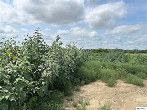 TBD S 240th St, Melia-Forest City Election Precinct, NE 68028 [Lot/Land ...