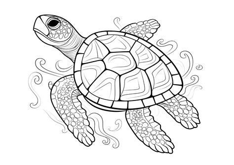 Beautiful turtle to color - Turtle Coloring Pages