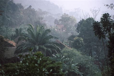 Climate And Weather Madagascar Rainforests