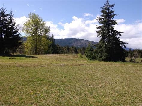 Ranger Creek Campground - Hipcamp in Port Angeles, Washington