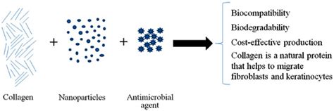 Collagen-Nanoparticles Composites for Wound Healing and Infection Control