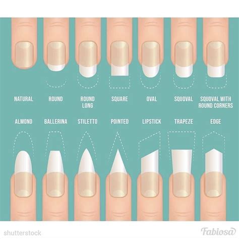 nail shapes. | Nail shapes, Gel nails, Types of nails shapes