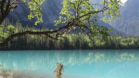 Berg Lake Trail, Mount Robson Provincial Park, British Columbia, Kanada