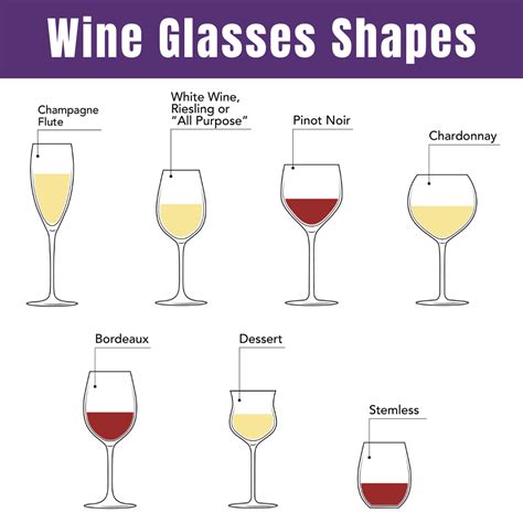 Types Of Sparkling Wine Glasses at Melissa Lindstrom blog