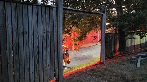 'Hero Cat' alerts Maryland family to house fire, dies from smoke ...