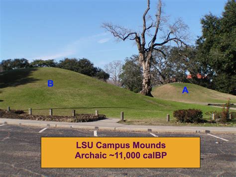 LSU Mounds Might Be Oldest Man-Made Structures in Americas - The Times ...