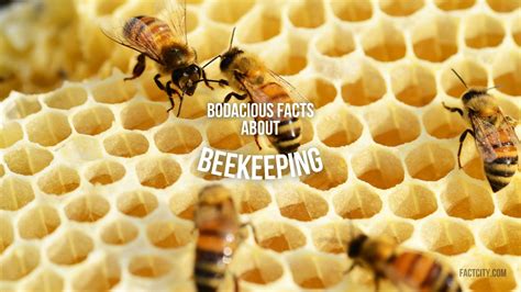 15 Interesting Facts About Titanium - Fact City