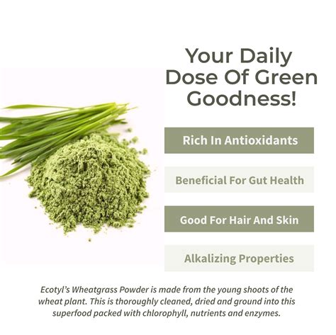 Wheatgrass Powder – Ecotyl - 100% Organic I Sustainable