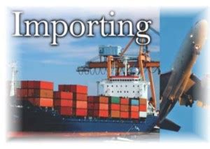 Export Procedure Class 11 的图像结果