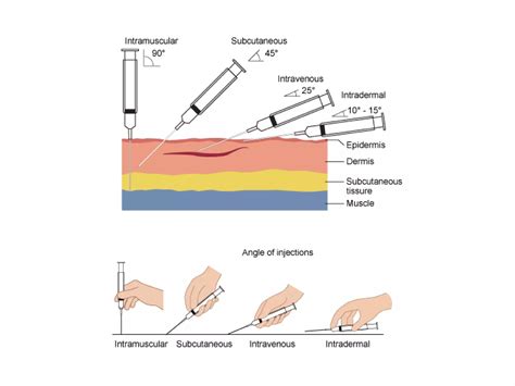 Rout of drugs administration | PPTX