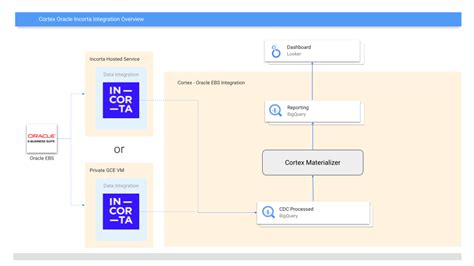 Image result for Cortex Oracle Code