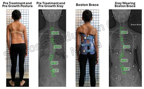 Image result for Java Tremple Vector