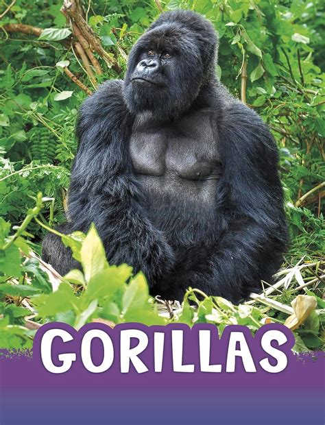 Gorillas (Animals) : Jaycox, Jaclyn: Amazon.in: Books
