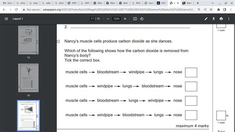 Nancy’s muscle cells produce carbon dioxide as she dances.Which of the ...