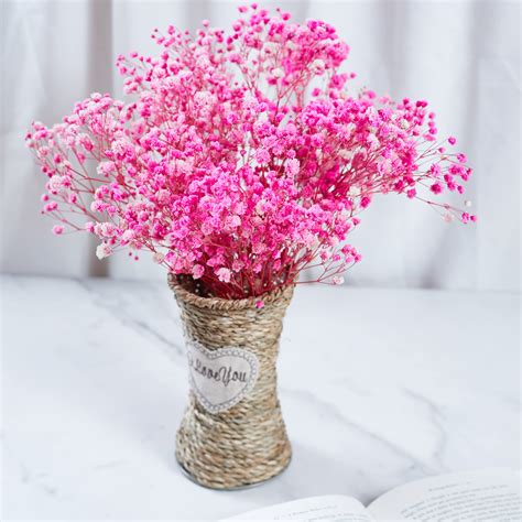 Pink Baby Breath Plants Pink Baby's Breath Round Bouquet