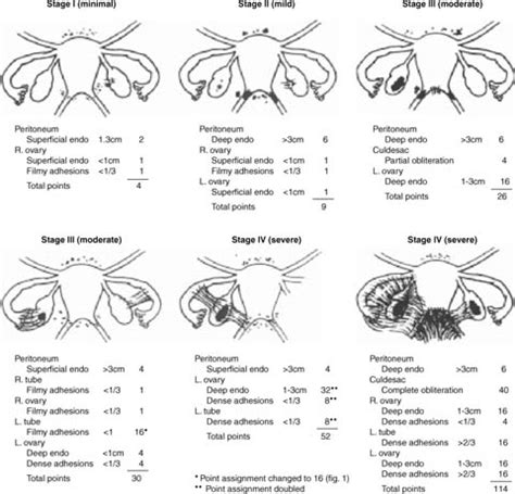 Image result for Computer Input and Output Devices Worksheet