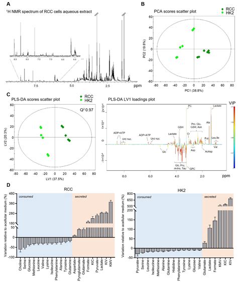 Exploring Metabolic Shifts in Kidney Cancer and Non-Cancer Cells Under ...