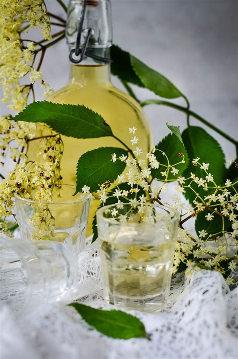 Elderflower Cordial Vs Liqueur at Hugo Bergin blog
