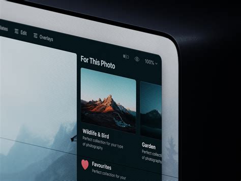 Image result for Neo Luminar Sample