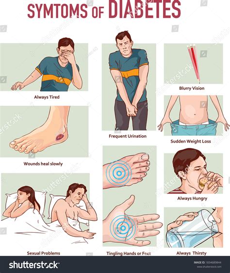 Vector Illustration Symptoms Diabetes Infographic Diagram Stock Vector (Royalty Free) 1834689844 ...