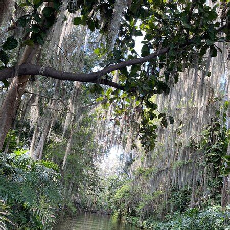 Lakeland/Winter Haven Kayak Tours - 2022 What to Know Before You Go ...