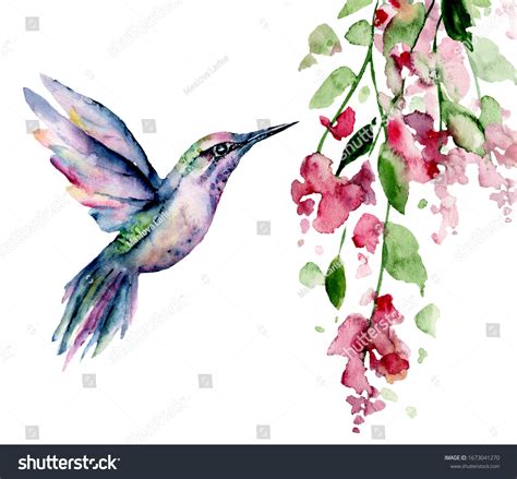 Hummingbird Watercolor Painting