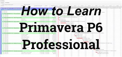 Image result for Learn P6 Software