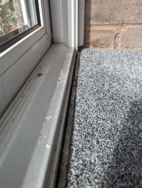 Filling horizontal gap between patio door threshold and flooring? : r/DIY
