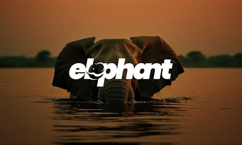 Creative Text Logo 的图像结果