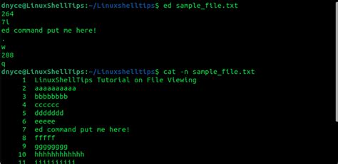 How to Insert a Word in a Line Using Unix Command 的图像结果