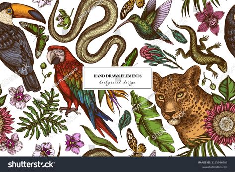 Tropical Animals Pattern 的图像结果