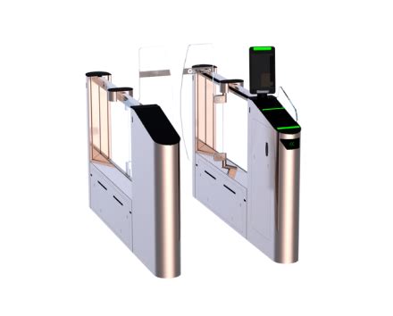 Efficient Access Control: The Role of Airport Security Gates