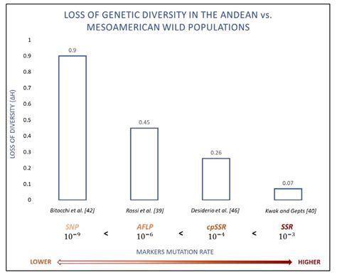 Current State and Perspectives in Population Genomics of the Common Bean